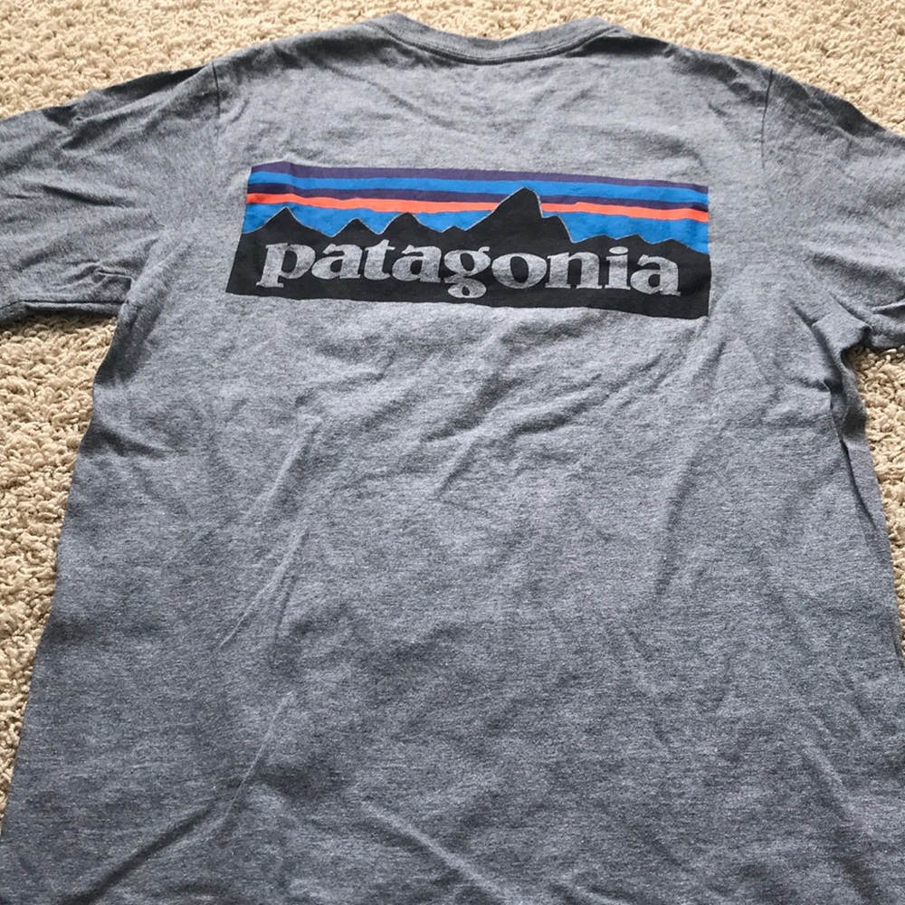 Patagonia t-shirt